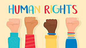 Read more about the article HUMAN RIGHTS COUNCIL; ITS ROLES AND FUNCTIONS AND ITS EFFECTIVENESS IN ADDRESSING HUMAN RIGHTS ISSUES